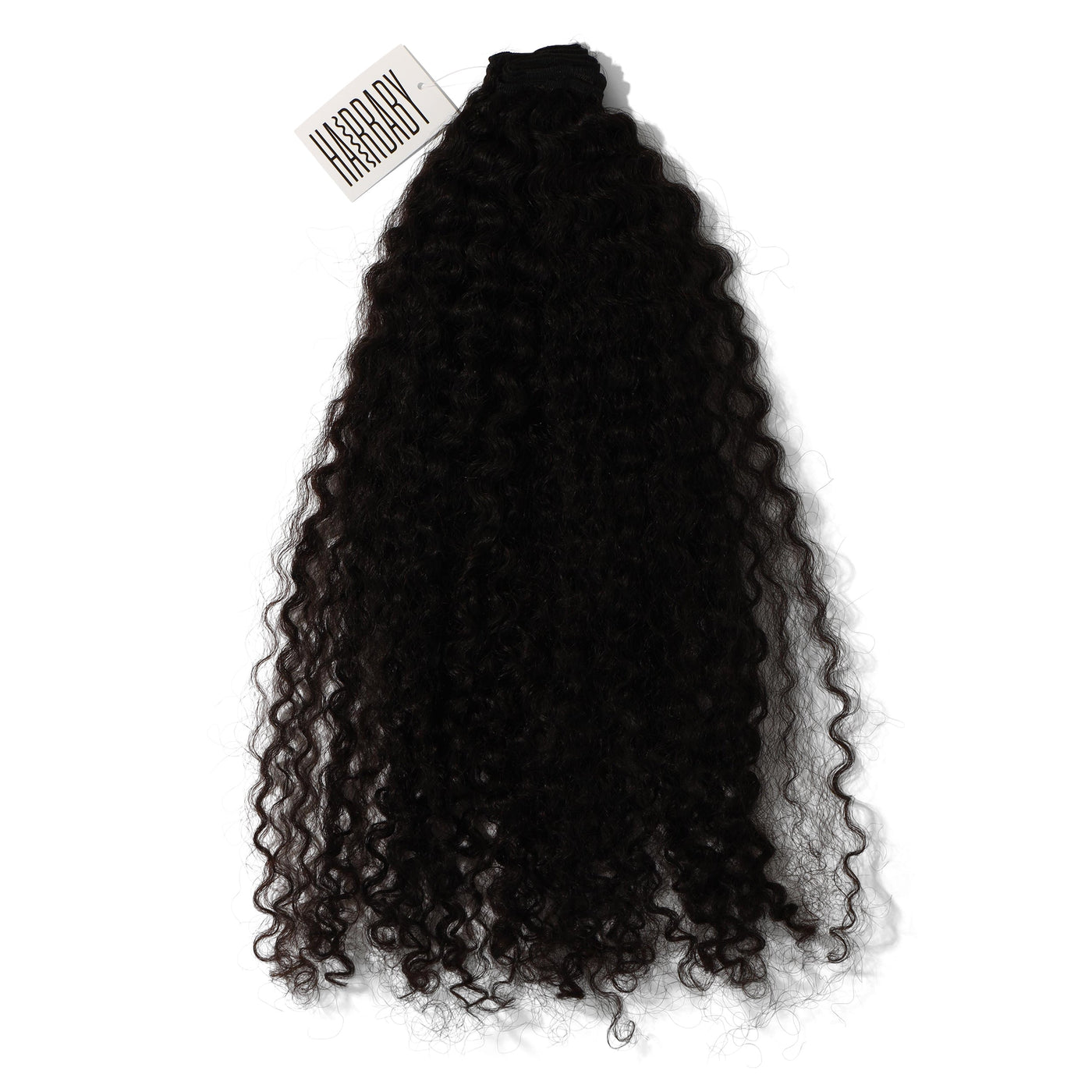 Raw Burma Curly 4 Bundle Deal