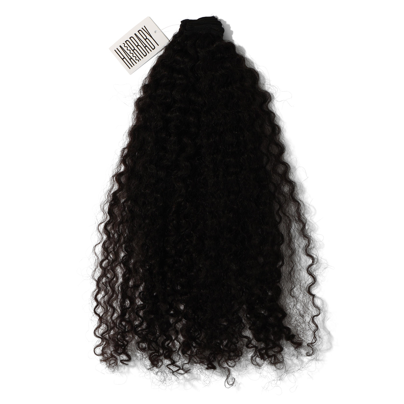 Raw Burma Curly 3 Bundle Deal + Lace